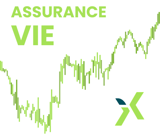 inotax-fontionnement-assurance-vie