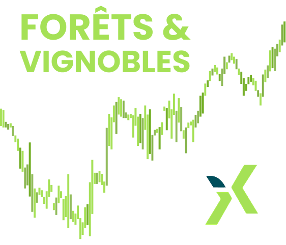 Visuel investissement dans les forêts & vignobles